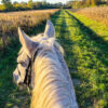 A Cavallo in Monferrato