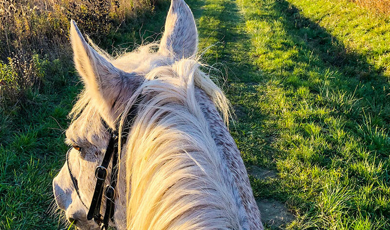 a-cavallo-in-monferrato