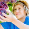 Vendemmia for Kids