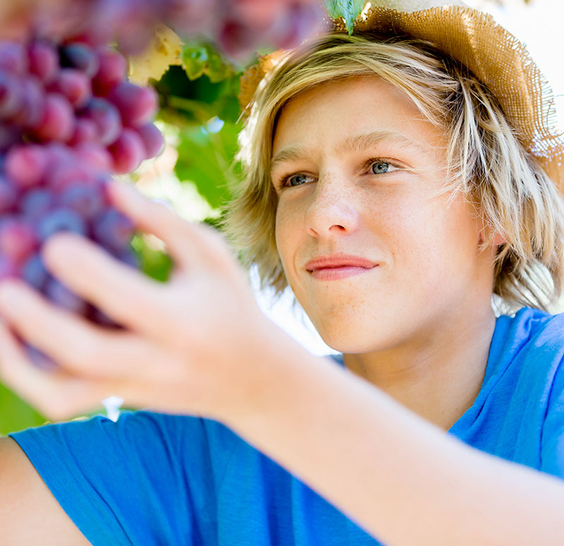 vendemmia-for-kids